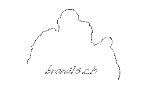 www.brandl.ch